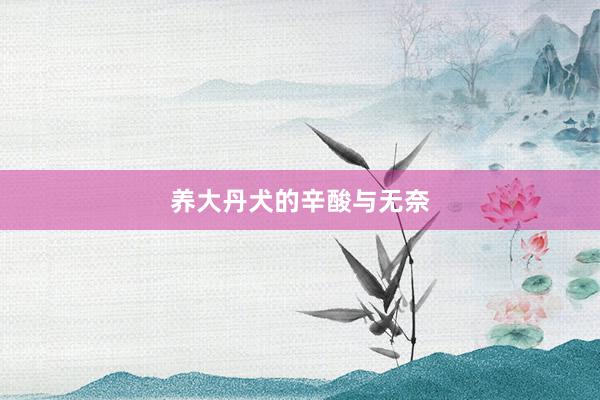 养大丹犬的辛酸与无奈